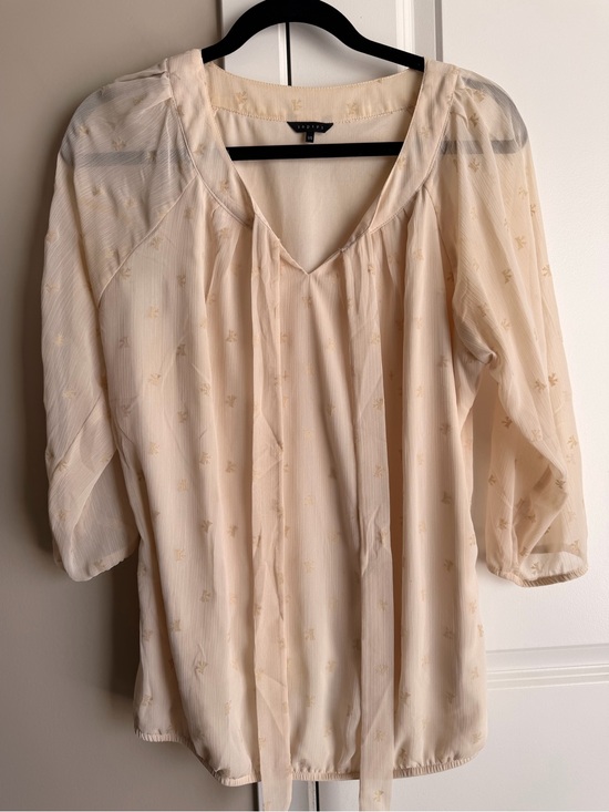Ispiri Tops - Spirit Light Cream Tie-Neck Sheer Blouse